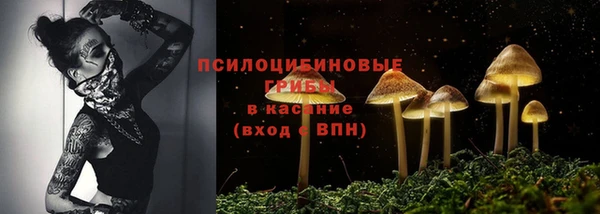 дурь Алзамай
